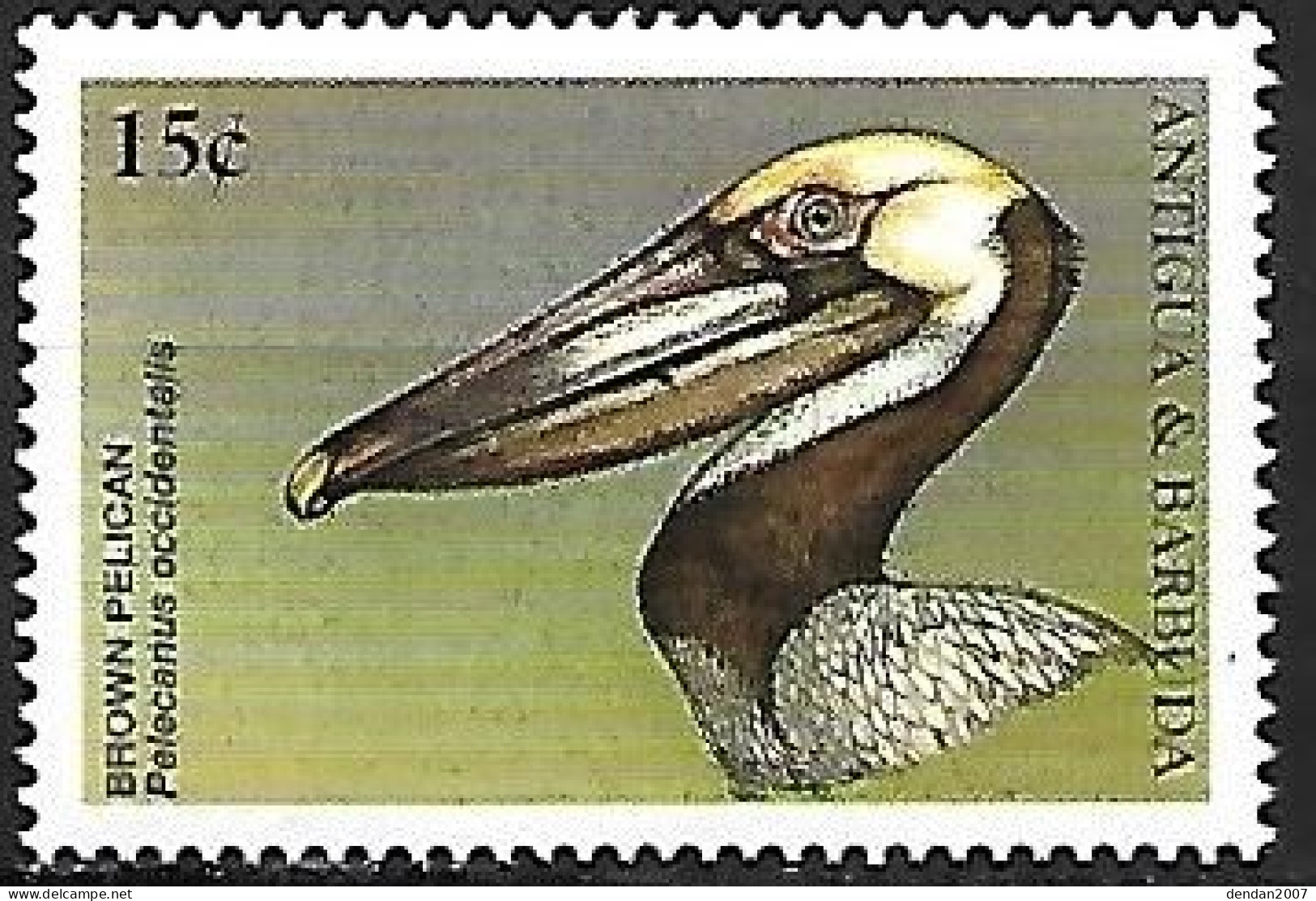 Antigua & Barbuda - MNH ** 1998 : Brown Pelican  -  Pelecanus Occidentalis - Pélicans