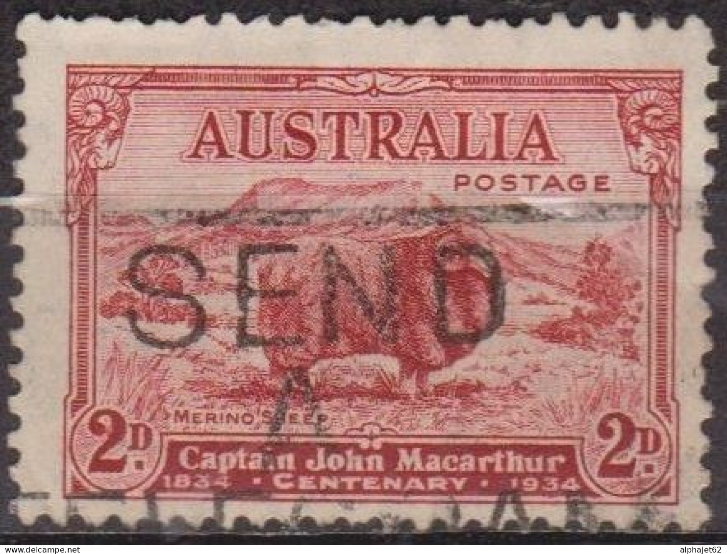 Faune - AUSTRALIE - Mouton Mérinos - N° 97 - 1934 - Gebruikt