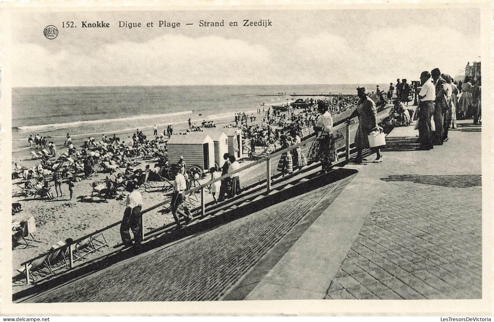 BELGIQUE - Knokke - Digue Et Plage - Carte Postale Ancienne - Knokke