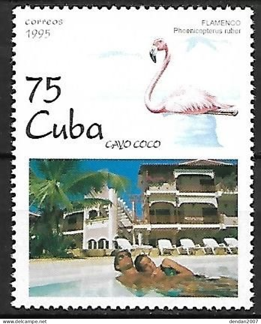 Cuba - MNH ** 1995 : American Flamingo  - Phoenicopterus Ruber - Flamencos