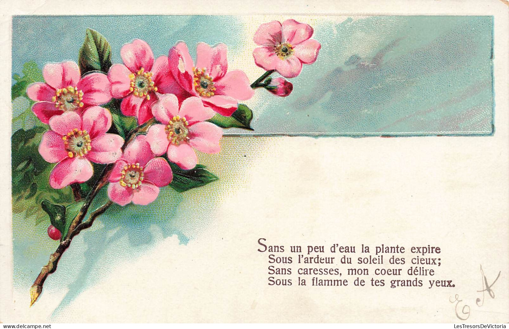 FLEURS,PLANTES & ARBRES - Fleurs - Sans Un Peu D'eau La Plante Expire.. - Carte Postale Ancienne - Flowers