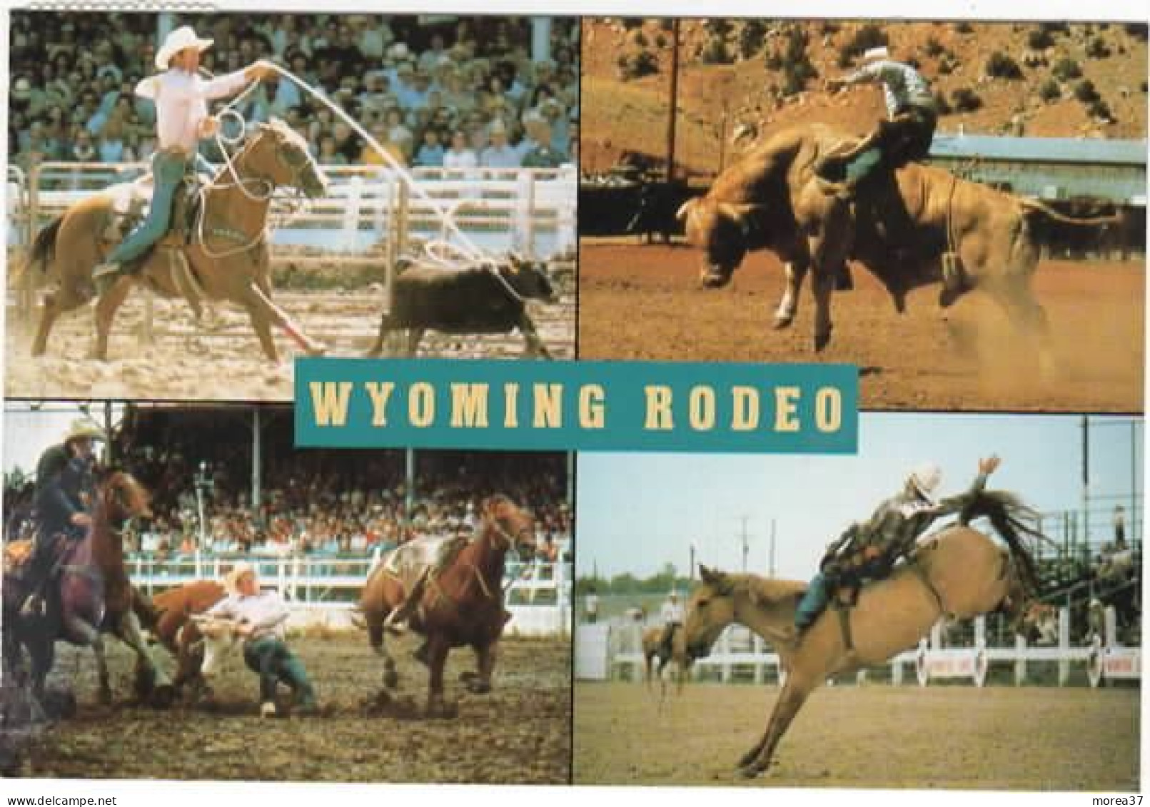 WYOMING Rodéo - Other & Unclassified