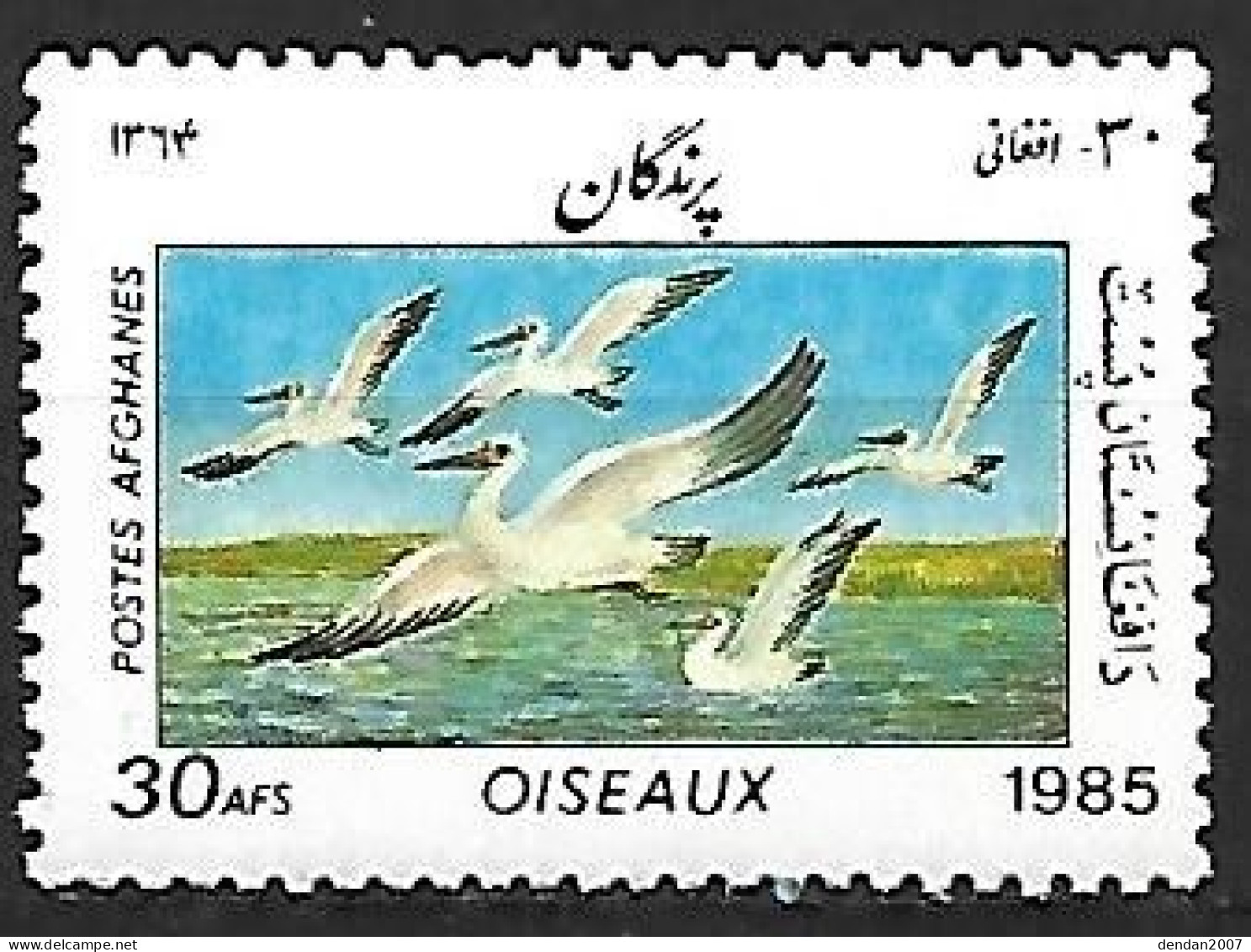 Afghanistan -  MNH  :    Dalmatian Pelican   - Pelecanus Crispus - Pelicans