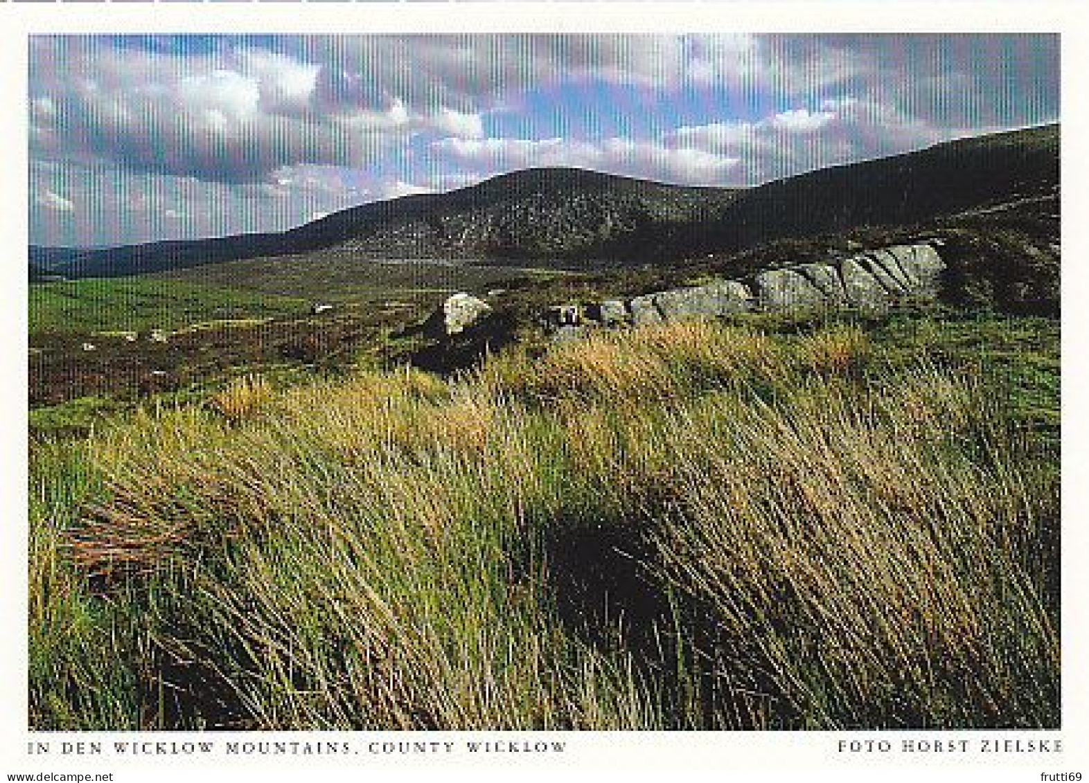 AK 194222 IRELAND - County Wicklow - In Den Wicklow Mountains - Wicklow