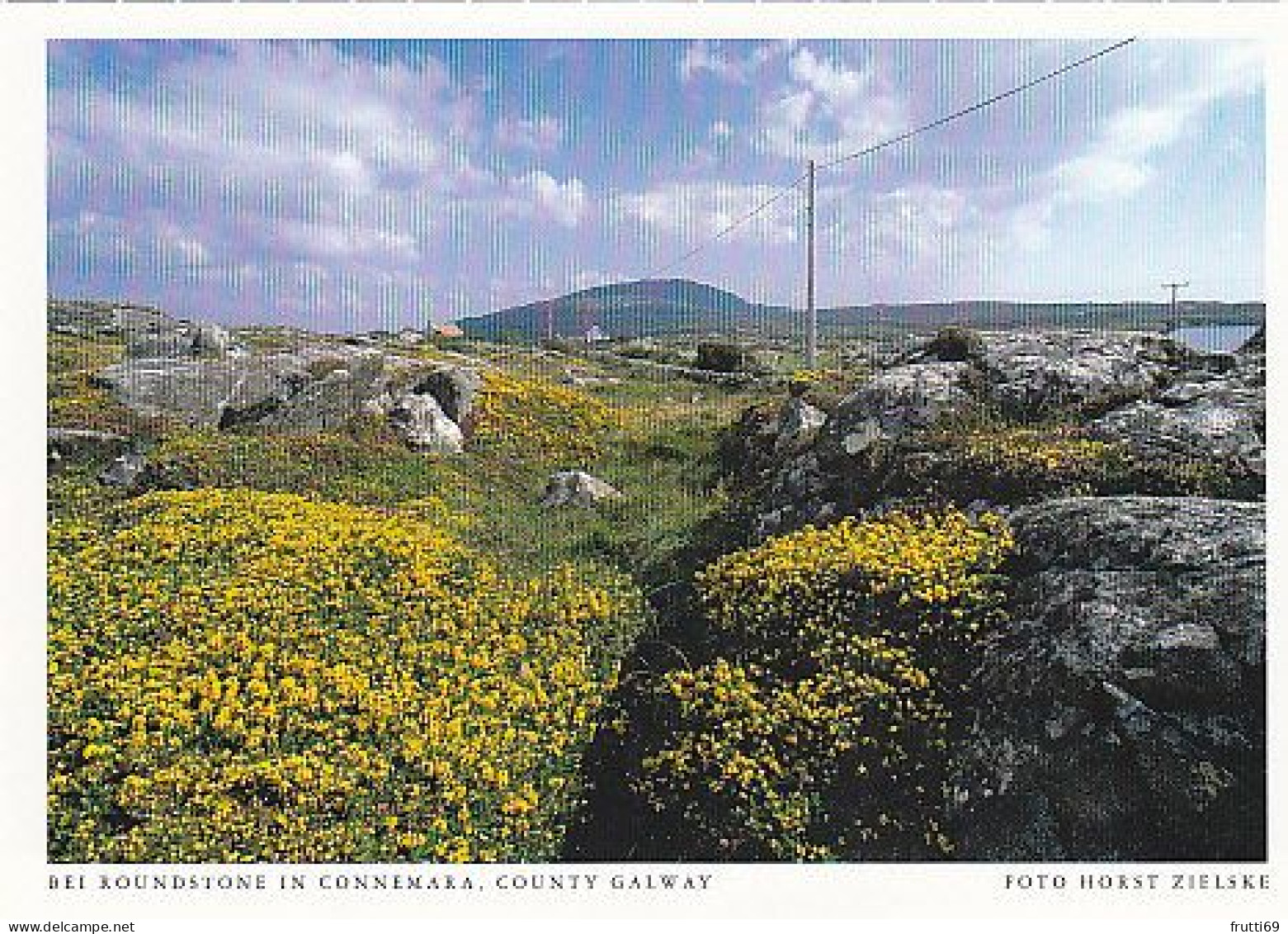 AK 194239 IRELAND - County Galway - Bei Roundstone In Connemara - Galway