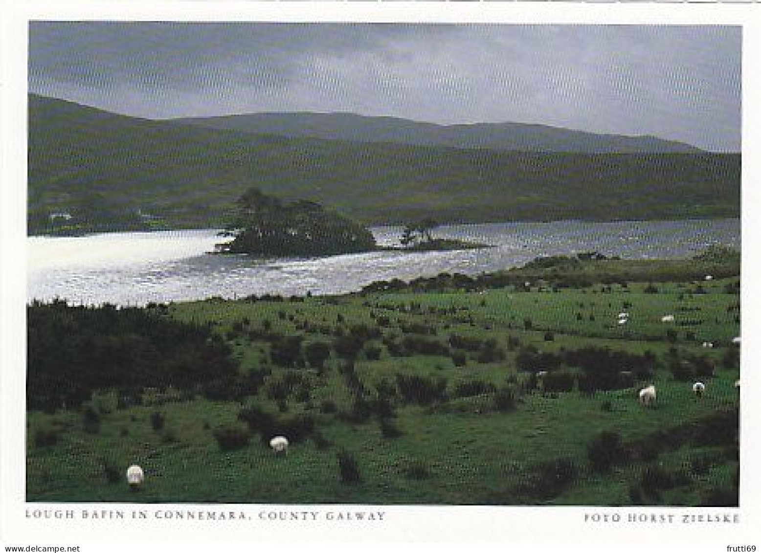 AK 194241 IRELAND - County Galway - Lough Bafin In Connemara - Galway