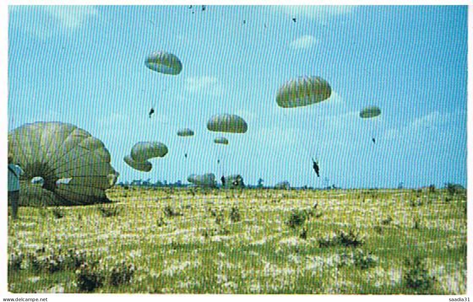 PARACHUTISME  BATAILLON AIRBORNE DIVISION NORTH CAROLINA - Parachutting