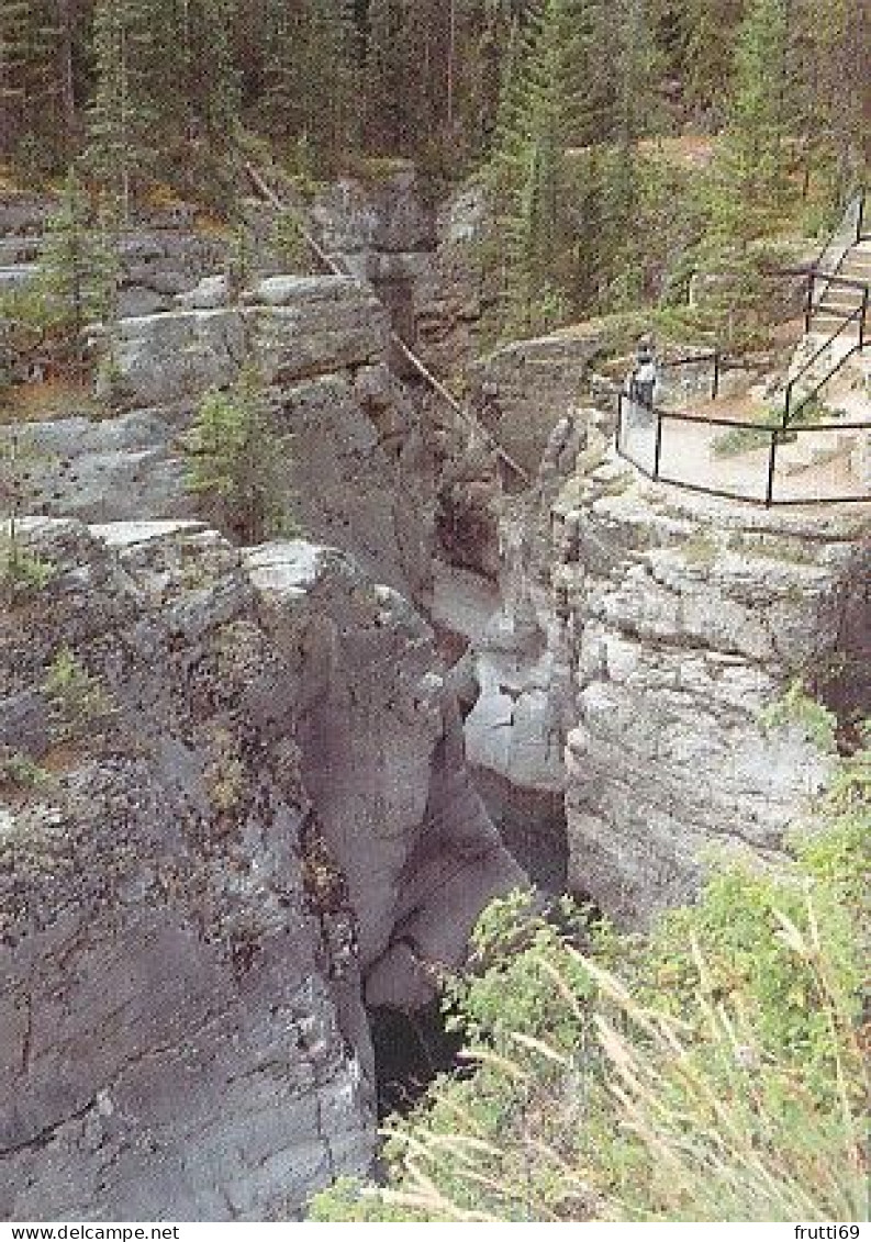 AK 194270 CANADA - Jasper National Park - Maligne Canyon - Jasper