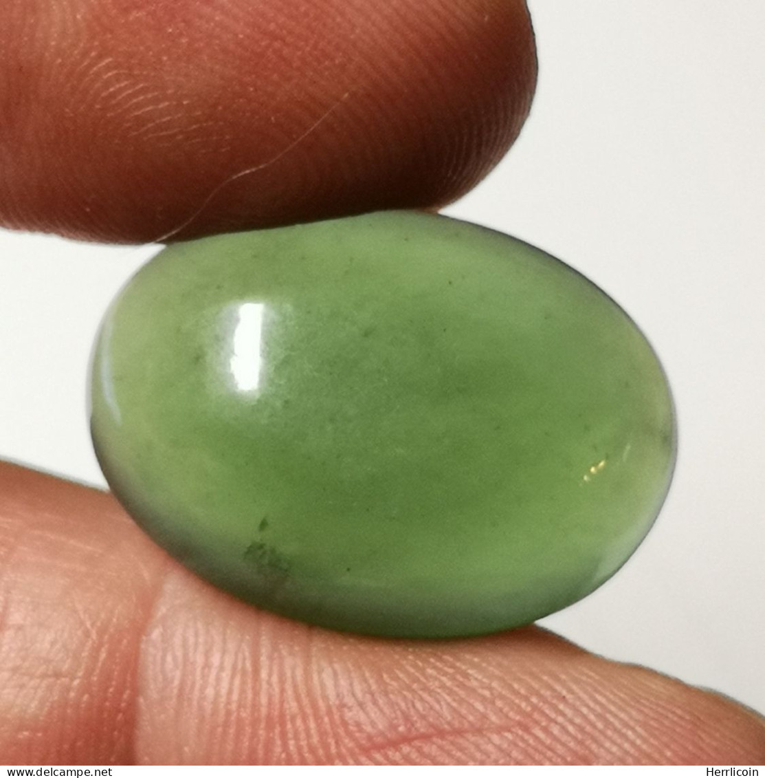 Serpentine Naturelle D'Afrique - Cabochon 21.90 Carats - 24.4 X 17.5 X 7.0 Mm - Andere & Zonder Classificatie