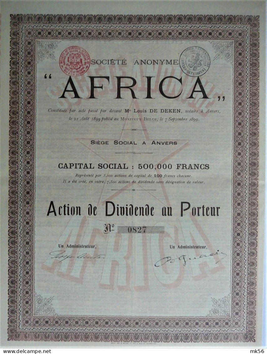 S.A. Africa - Action De Dividende  Au Porteur - 1899 !! - Anvers - Afrika