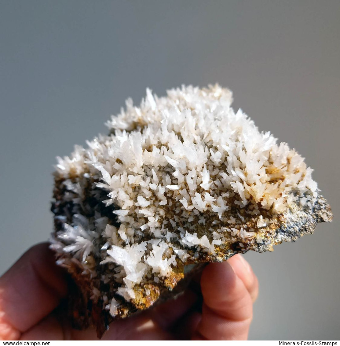 #BRA5.07 RARO GESSO Cristalli In Ciuffi (Brosso Mine, Torino, Piemonte, Italia) - Minéraux