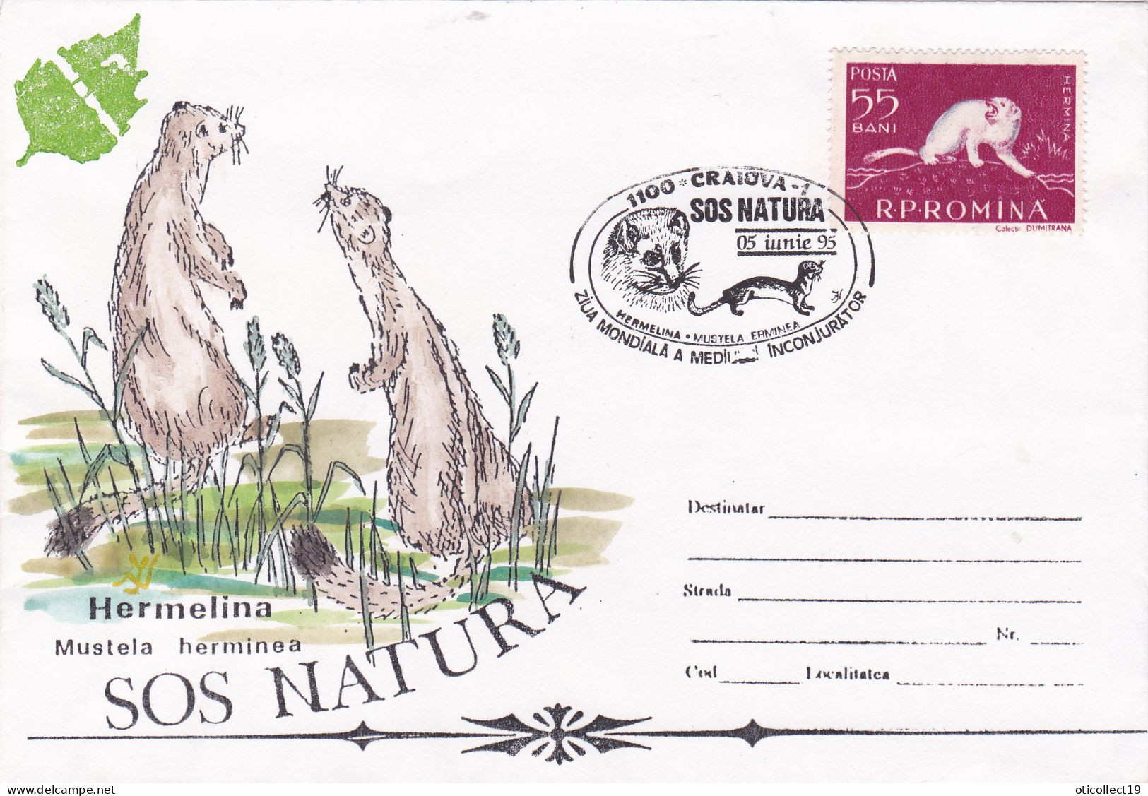 HERMELINA,MUSTEIA HERMINEA,ERMINE,SPECIAL COVER AND PMK RARE 1995, ROMANIA - Rongeurs