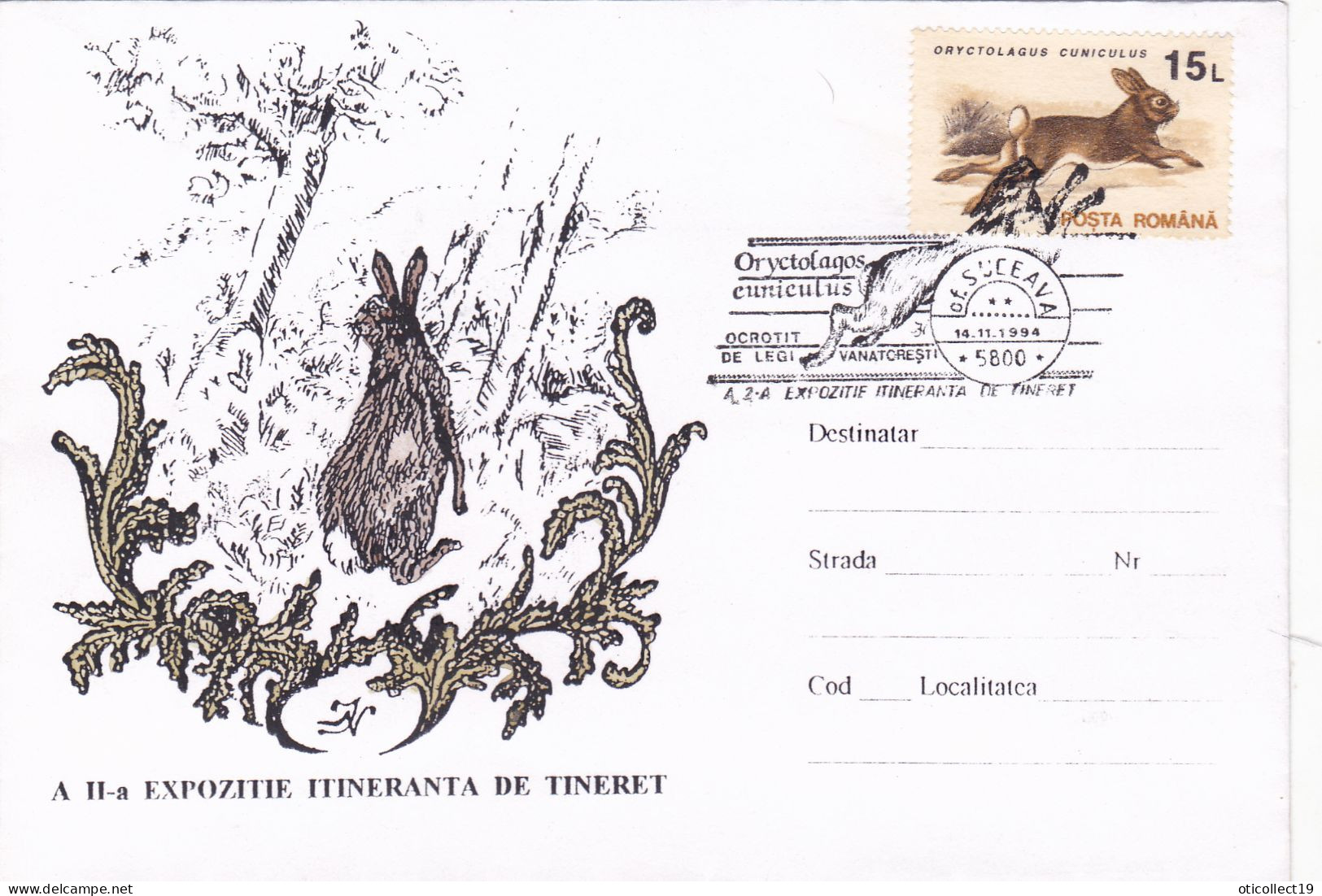 RABBIT,SPECIAL COVER AND PMK RARE 1994, ROMANIA - Conigli