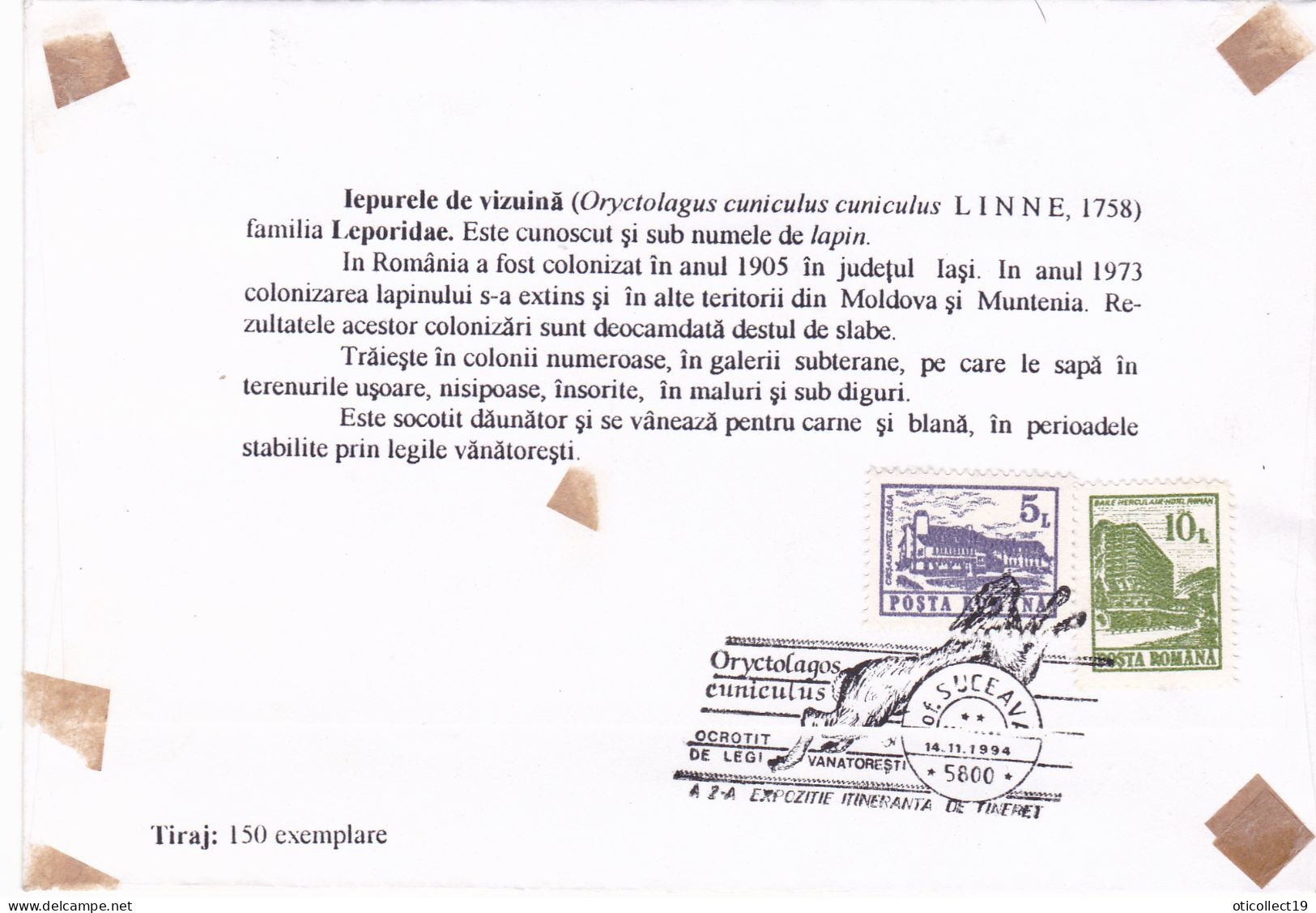 RABBIT,SPECIAL COVER AND PMK RARE 1994, ROMANIA - Rabbits