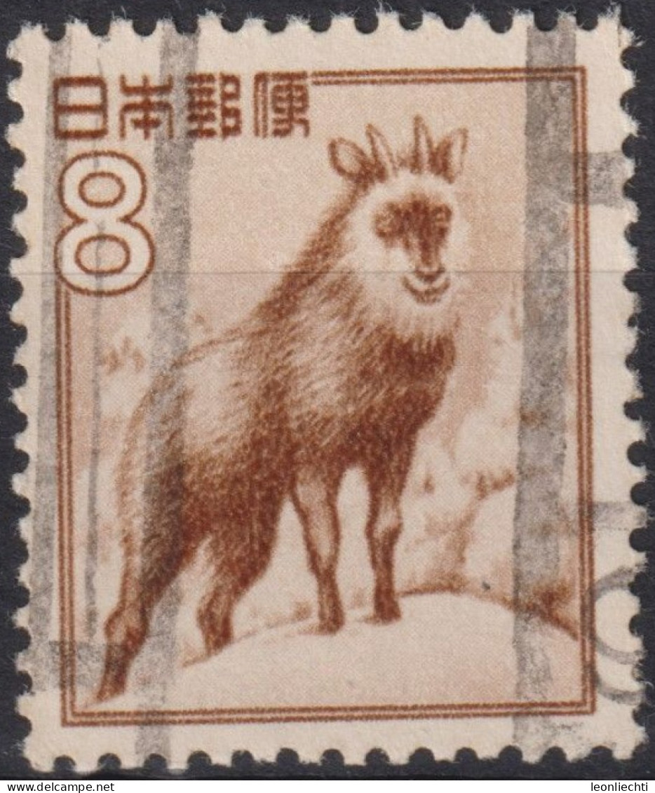 1952 Japan-Nippon ° Mi:JP 588, Sn:JP 560, Yt:JP 508, Japanese Serow (Capricornis Crispus) - Usati