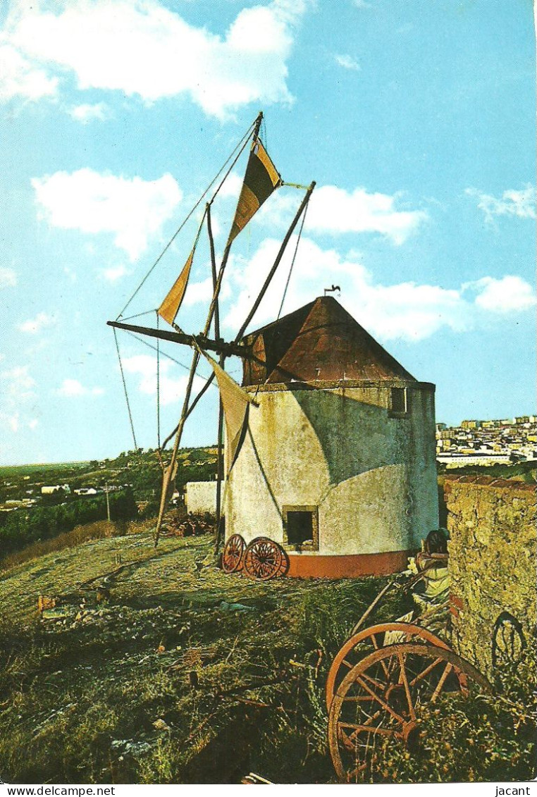 Portugal - Palmela - Moinho De Vento - Windmill - Moulin à Vent - Molino - Setúbal