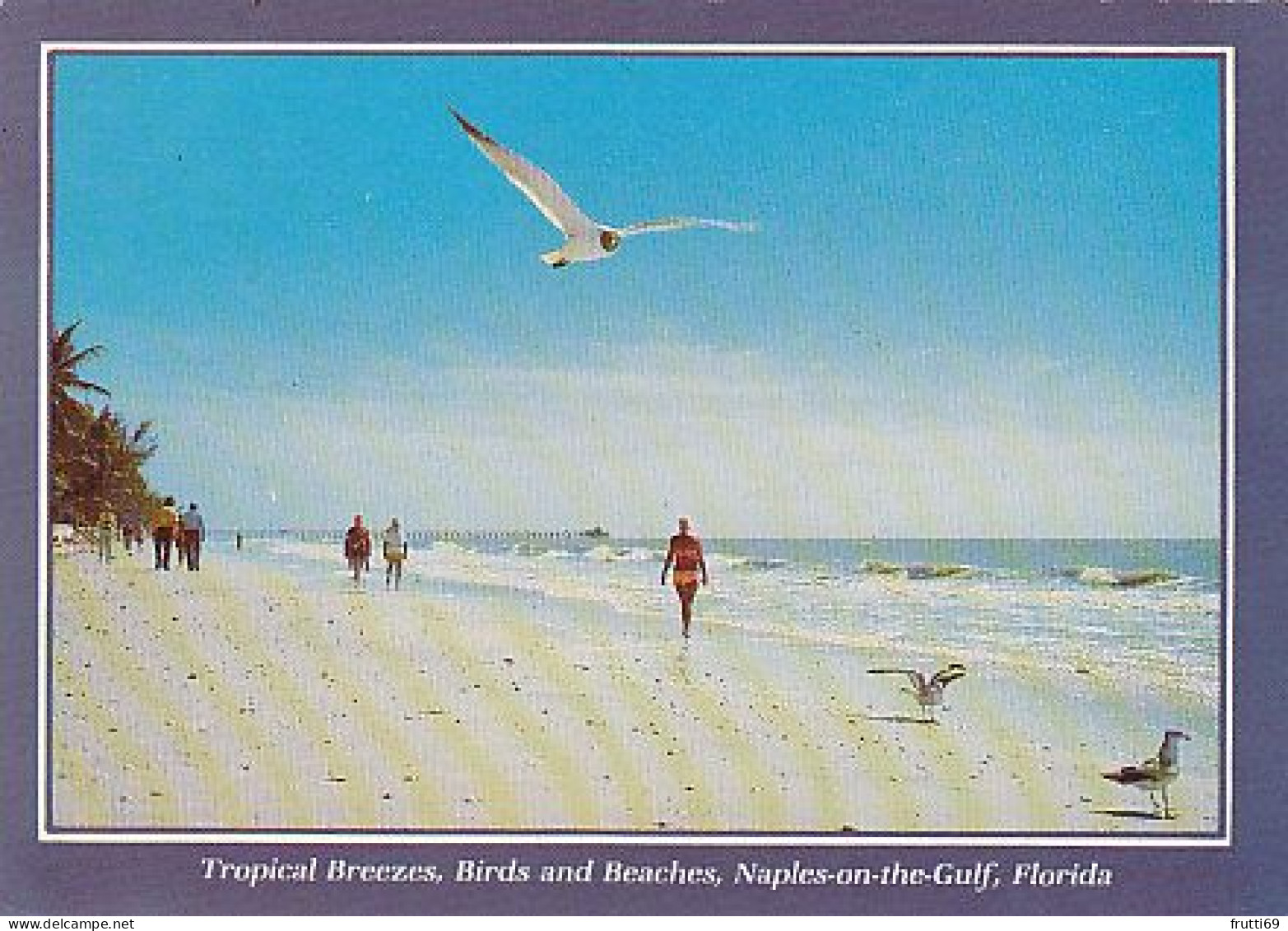 AK 194419 USA - Florida - Naples-on-the-Gulf - Tropical Breezes - Naples