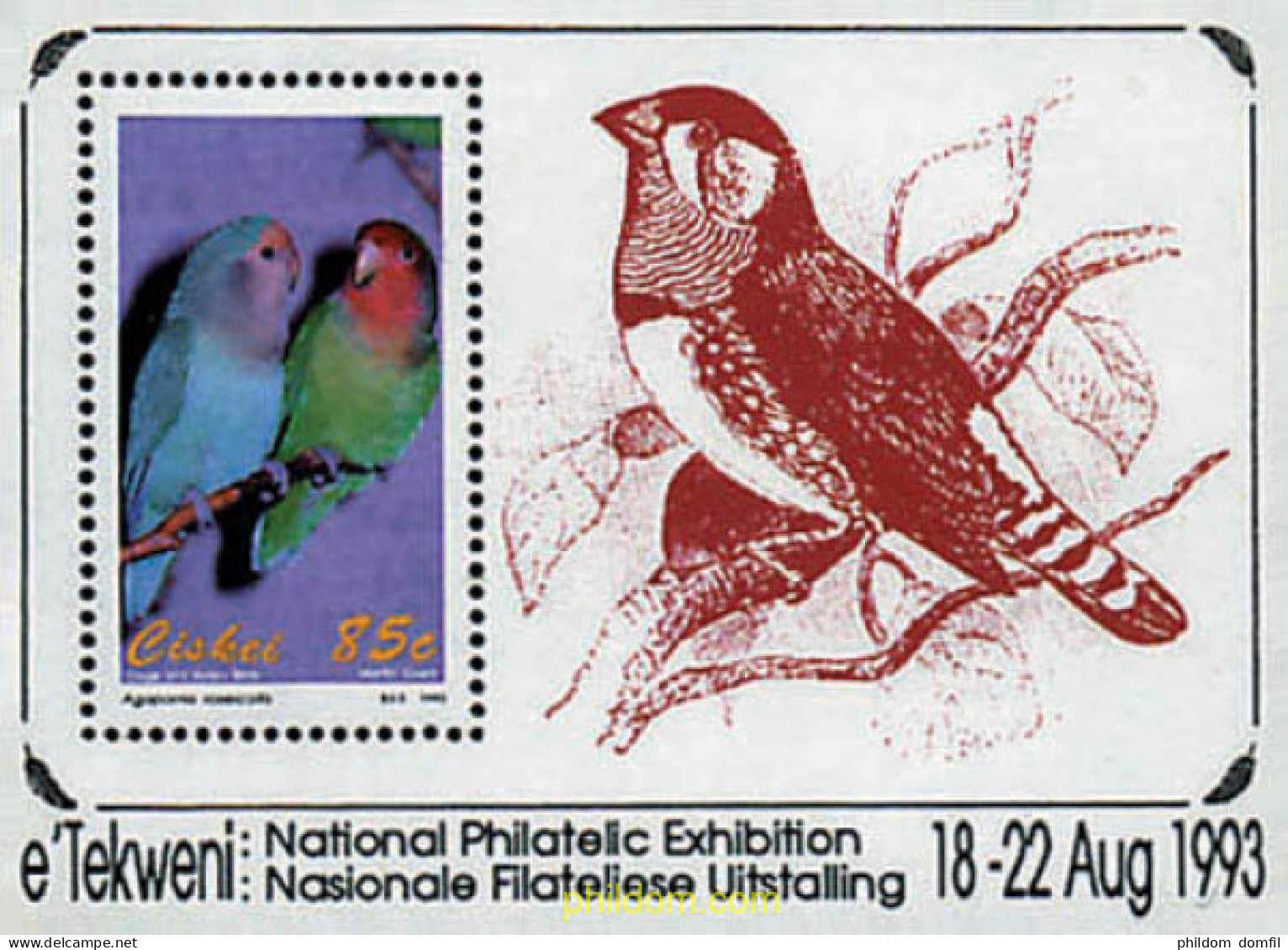 32820 MNH CISKEI 1993 AVES - Ciskei