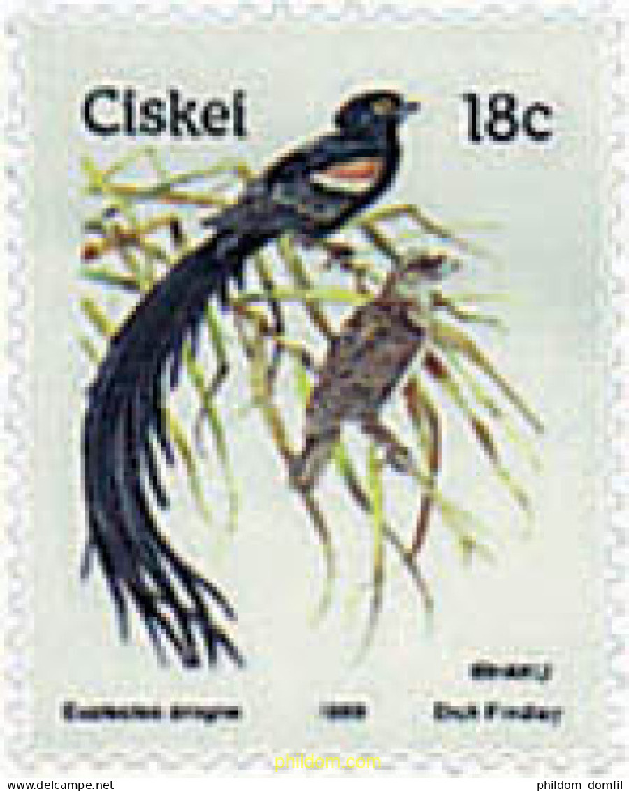 34044 MNH CISKEI 1989 PAJARO - Ciskei