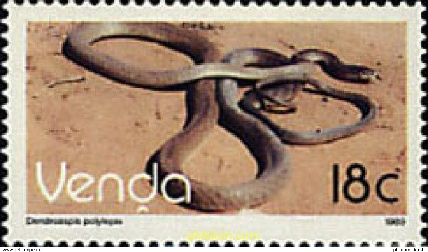 28288 MNH VENDA 1989 REPTIL - Venda