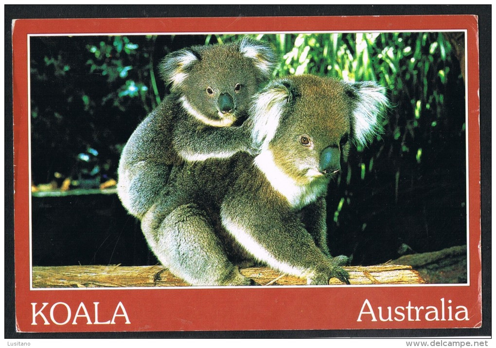 Australia - Koalas - Used Stamp Timbre ( 2 Scans ) - Indonésie