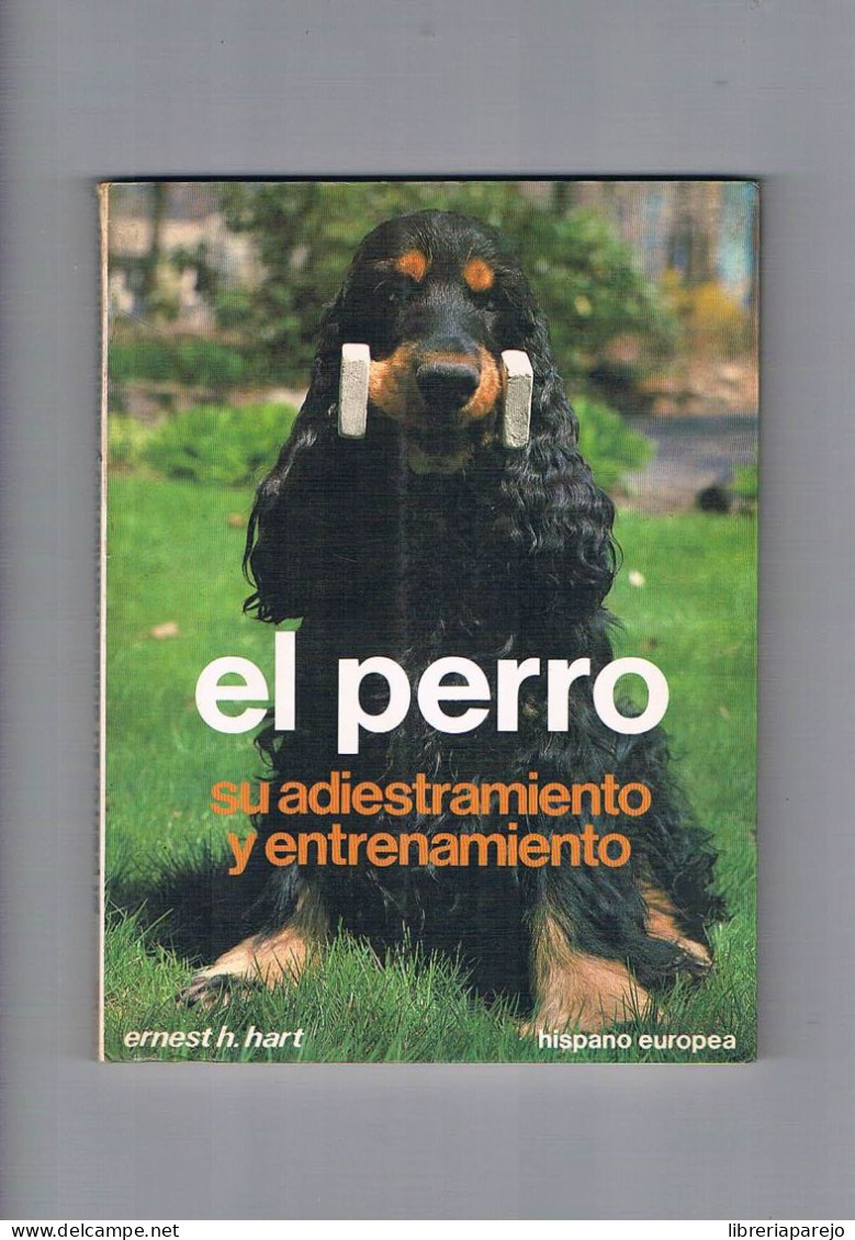 El Perro Su Adiestramiento Y Entrenamiento Ernest H Hart Hispano Europea 1987 - Altri & Non Classificati
