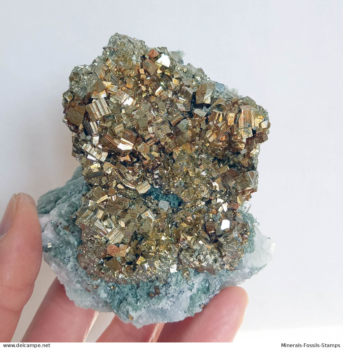 #AUG03.03 Bella PIRITE Cristalli (Gavorrano, Grosseto, Toscana, Italia) - Minerali