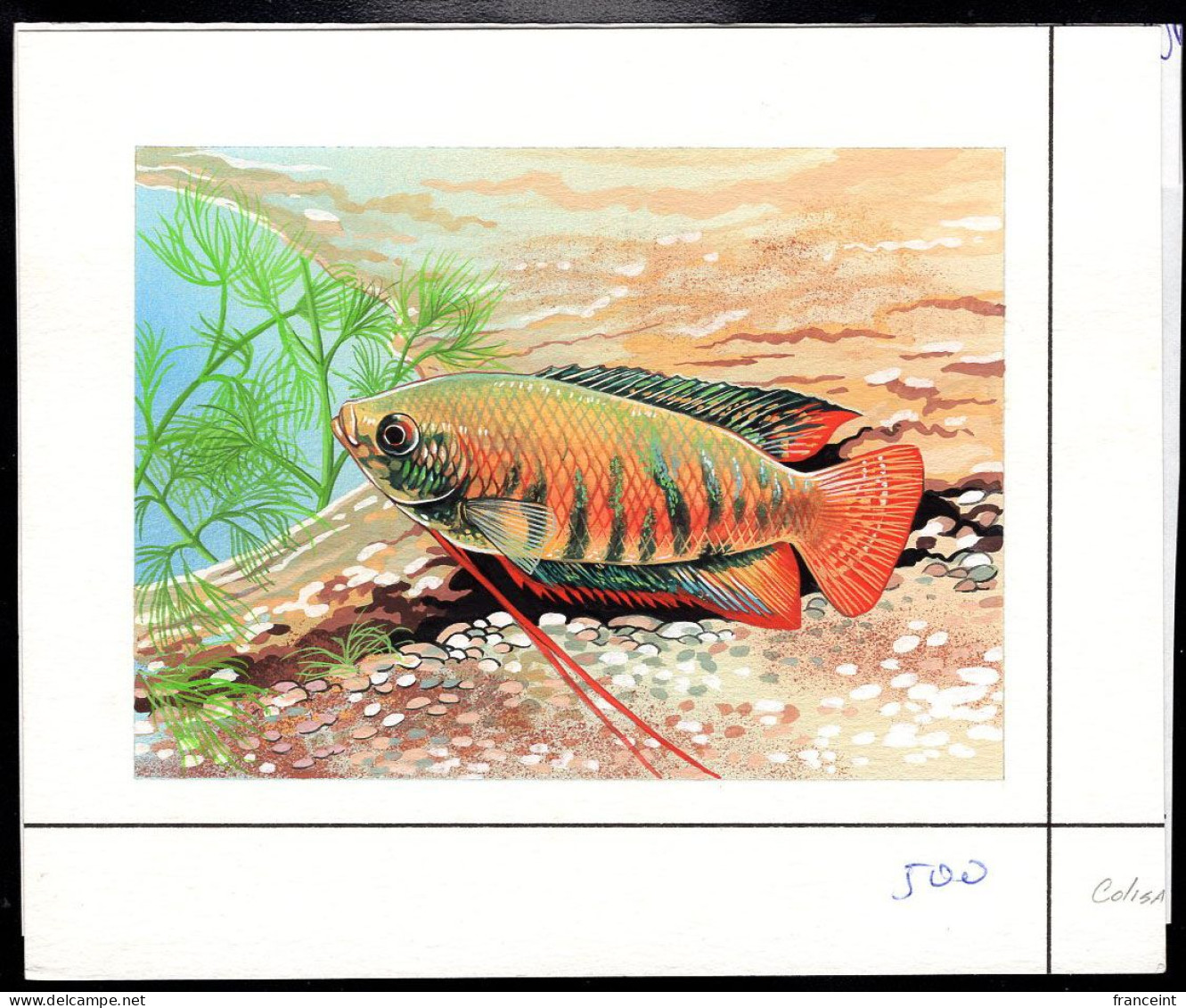 CAMBODIA(1997) Rainbow Gourami (Colisa Fasciata). Original Artwork, Watercolor On Posterboard Measuring 18.5 X 15.5 Cm, - Cambodia