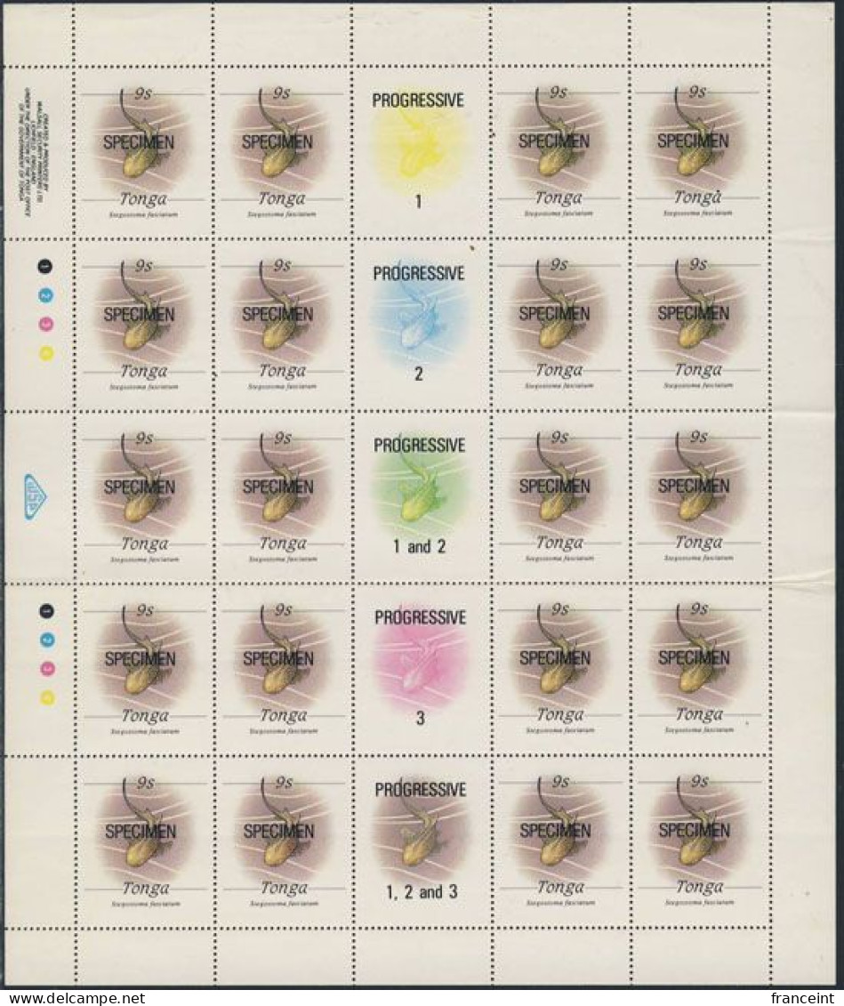 TONGA(1984) Zebra Shark. Full Sheet Of Specimens With Center Gutter Showing Progressive Proof Colors. Scott No 568, Yver - Tonga (1970-...)