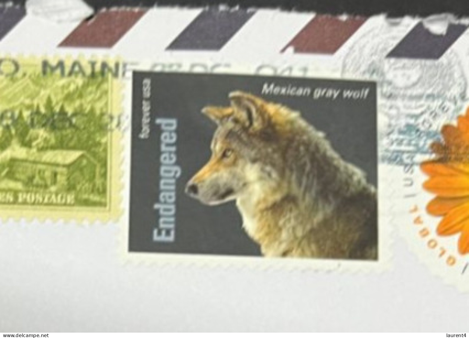 11-1-2024 (4 W 54) USA X 2 Covers Posted To Australia (during 2023) (1 With Mexican Grey Wolf Stamp) - Briefe U. Dokumente