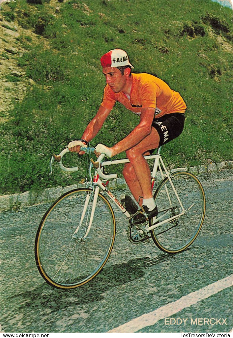 SPORT - Cyclisme - Eddy Merckx - Carte Postale - Ciclismo
