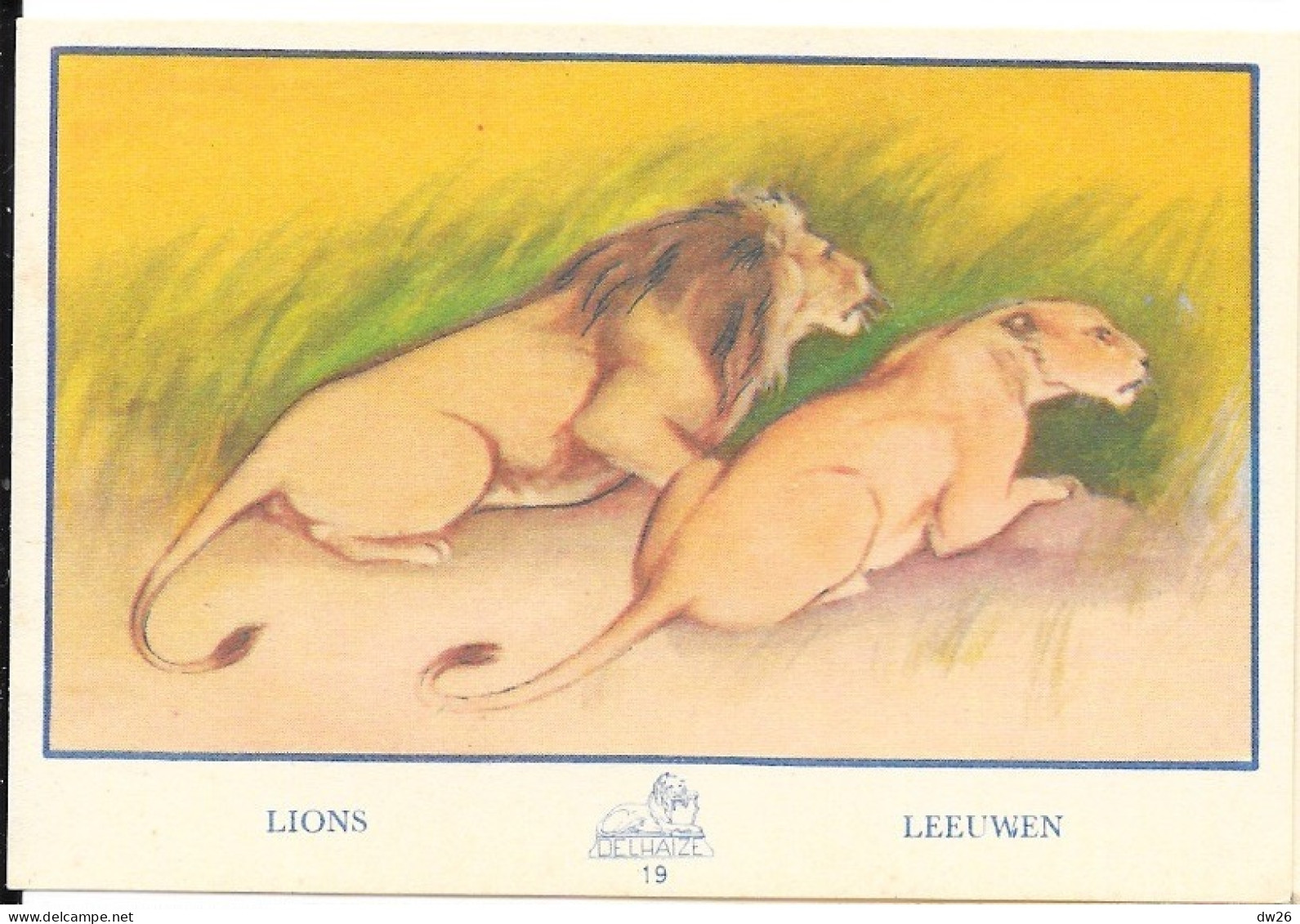 Chromo - Publicité Chocolat Delhaize - Série L'Afrique N° 19 - Les Lions (Lion Et Lionne) - Otros & Sin Clasificación