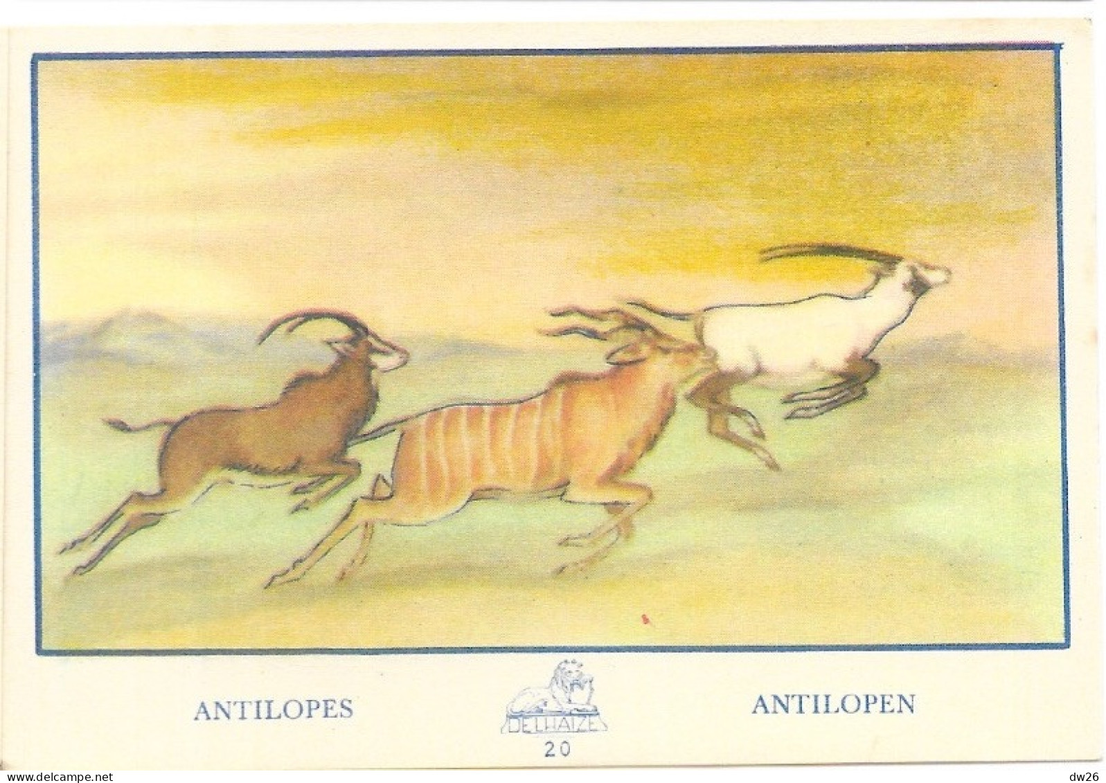 Chromo - Publicité Chocolat Delhaize - Série L'Afrique N° 20 - Les Antilopes (Antilopen) - Sonstige & Ohne Zuordnung