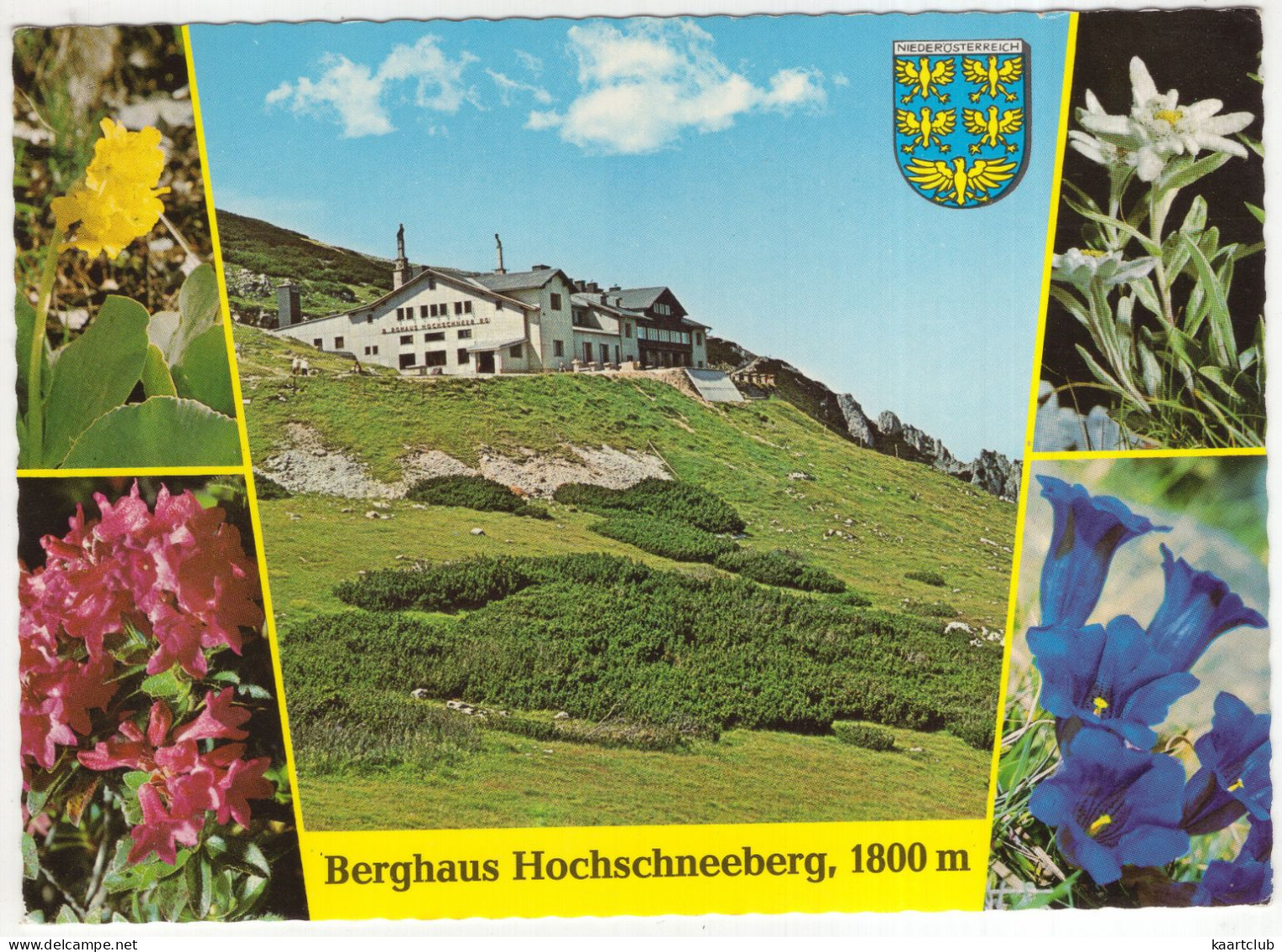 Puchberg Am Schneeberg - Berghaus Hochschneeberg, 1800 M. - (N.Ö., Österreich/Austria) - Neunkirchen