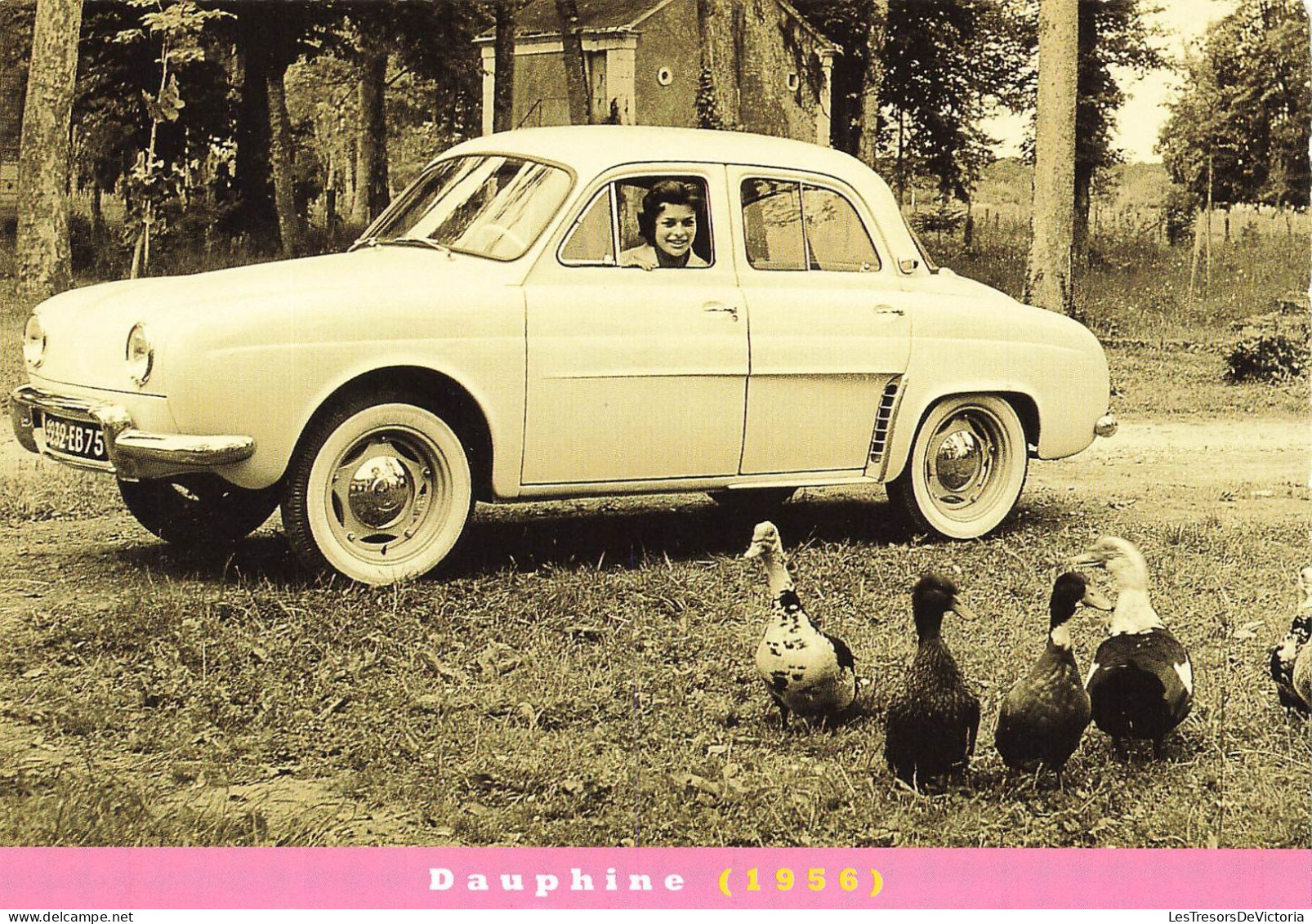 TRANSPORT - Automobile - RENAULT - DAUPHINE - 1956 - Carte Postale - Other & Unclassified