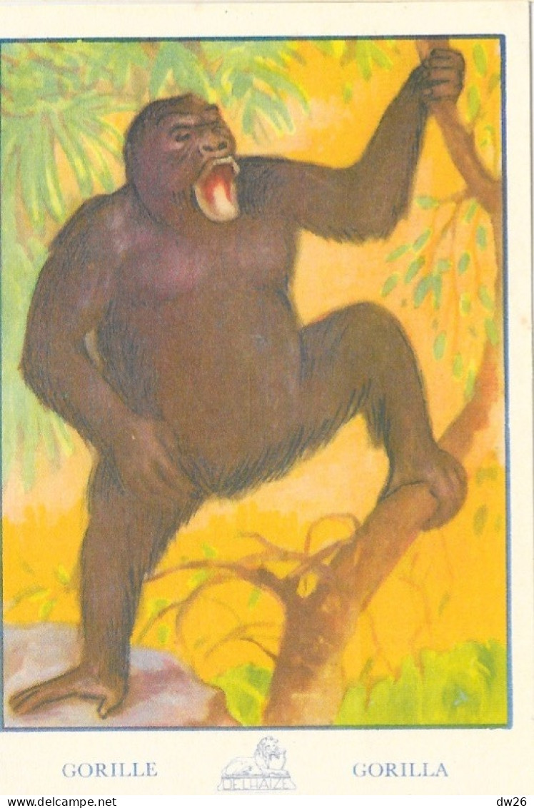 Chromo - Publicité Chocolat Delhaize - Série L'Afrique N° 27 - Le Gorille (Gorilla) - Other & Unclassified