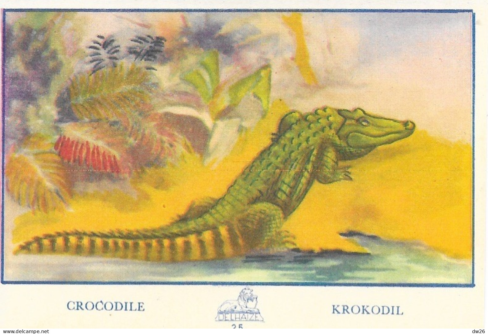 Chromo - Publicité Chocolat Delhaize - Série L'Afrique N° 25 - Le Crocodile (Krokodil) - Autres & Non Classés