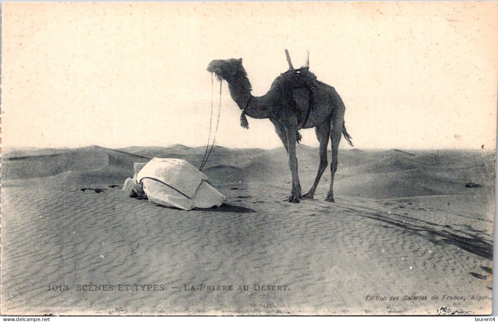 13-1-2024 (1 X  W 7) North Africa (b/w) La Prière Au Desert (muslim Men Prying & Camel) - Islam