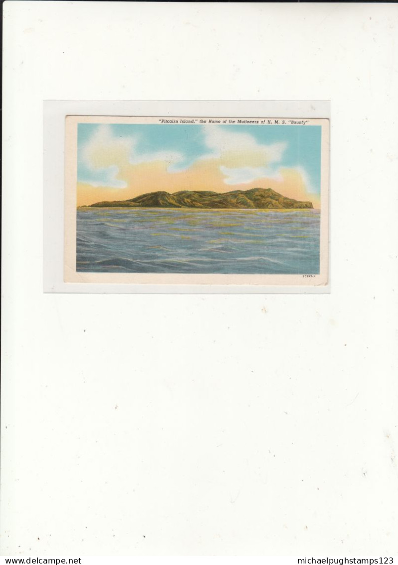 Patcairn Islands / Postcards / Birds - Pitcairn Islands