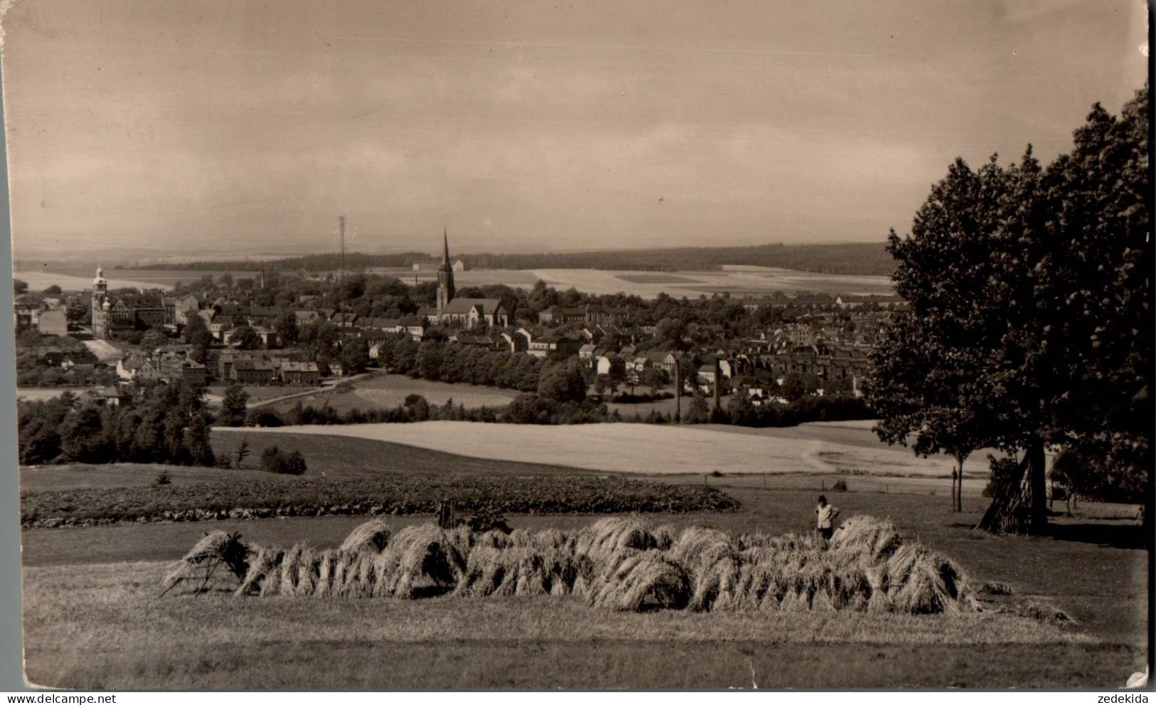 5687 - Falkenstein Vogtland - Dick Verlag - Falkenstein (Vogtland)