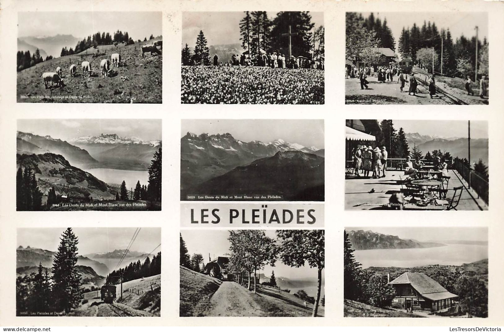 SUISSE - Les Pléïades - Mulitvues - Montagnes - Carte Postale - Other & Unclassified