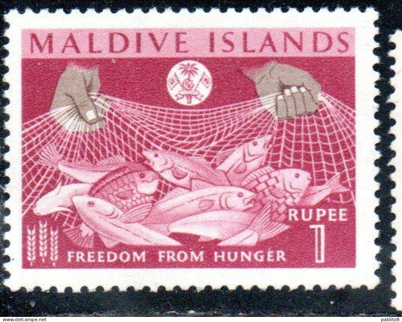 MALDIVES ISLANDS ISOLE MALDIVE BRITISH PROTECTORATED 1963 FAO FREEDOM FROM HUNGER 1r  MNH - Maldiven (...-1965)