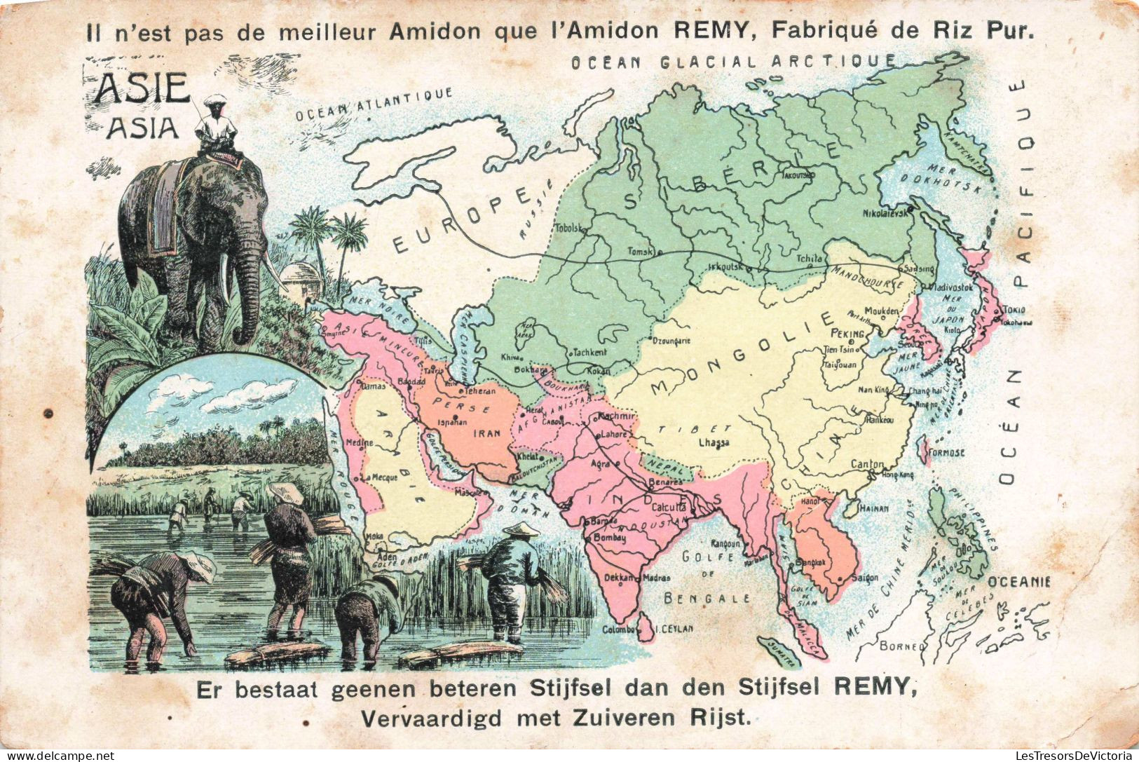 PUBLICITE - Amidon Remy - Asie - Eléphants - Fabriqué De Riz Pur - Carte Postale Ancienne - Advertising