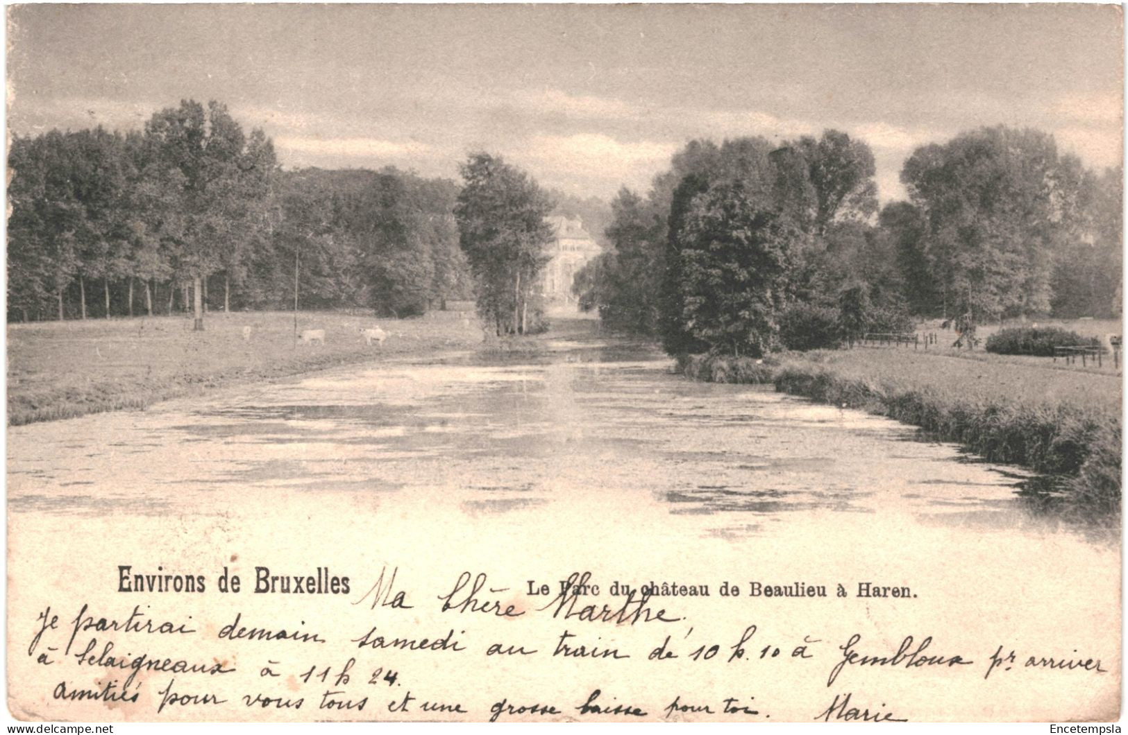 CPA Carte Postale Belgique Bruxelles Haren Parc Du Château De Beaulieu 1905  VM75918 - Ohne Zuordnung