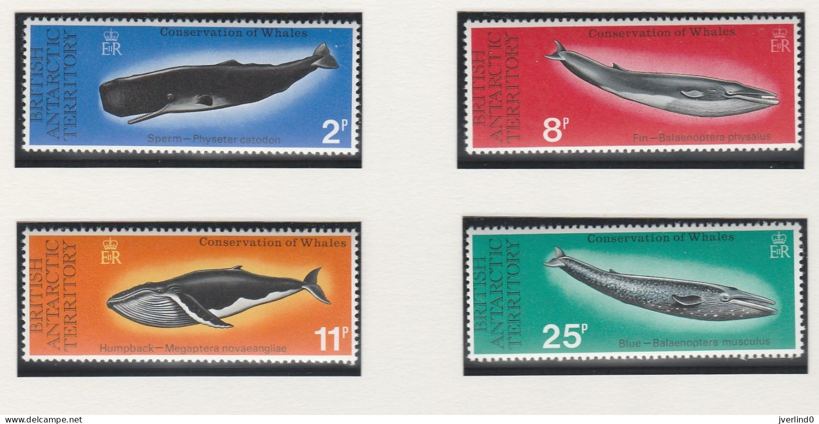 British Antarctic Territory BAT 1977 Whales Set Of 4, MNH - Neufs