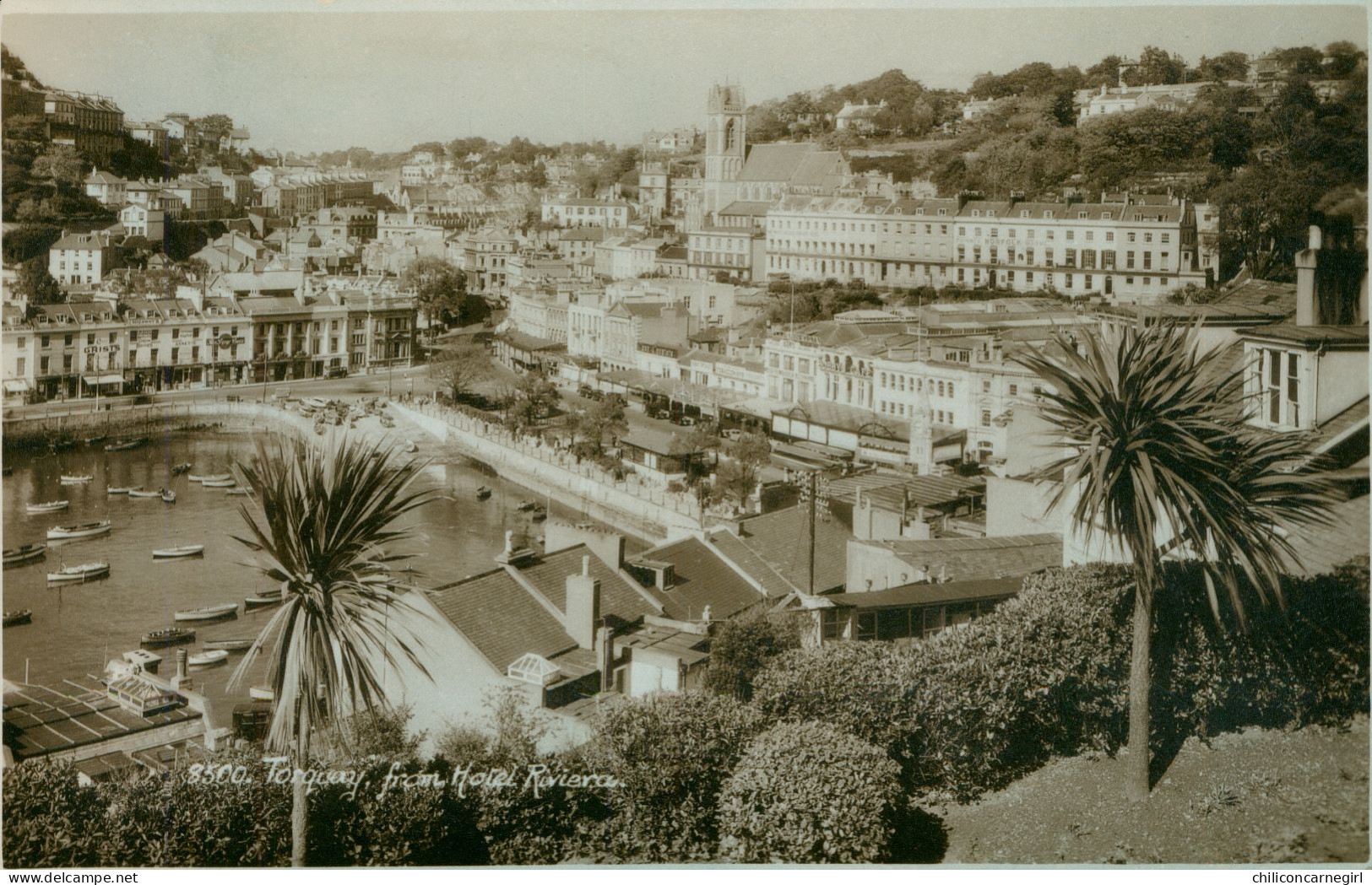 * Cp Photo - TORQUAY From Hotel Riviera - Harbour - 8500 - Edit. E.A. SWEETMAN & Son - SUNSHINE Series - 1936 - Torquay