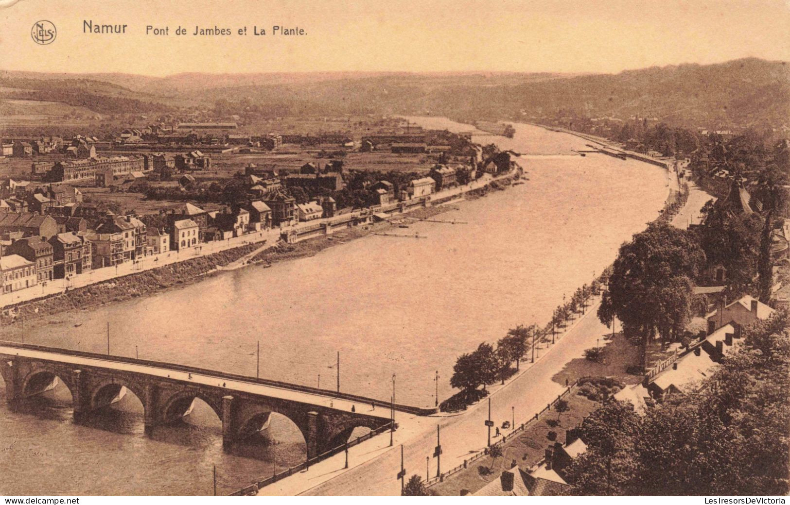 BELGIQUE - Namur - Pont De Jambes Et La Plante - Carte Postale Ancienne - Namur