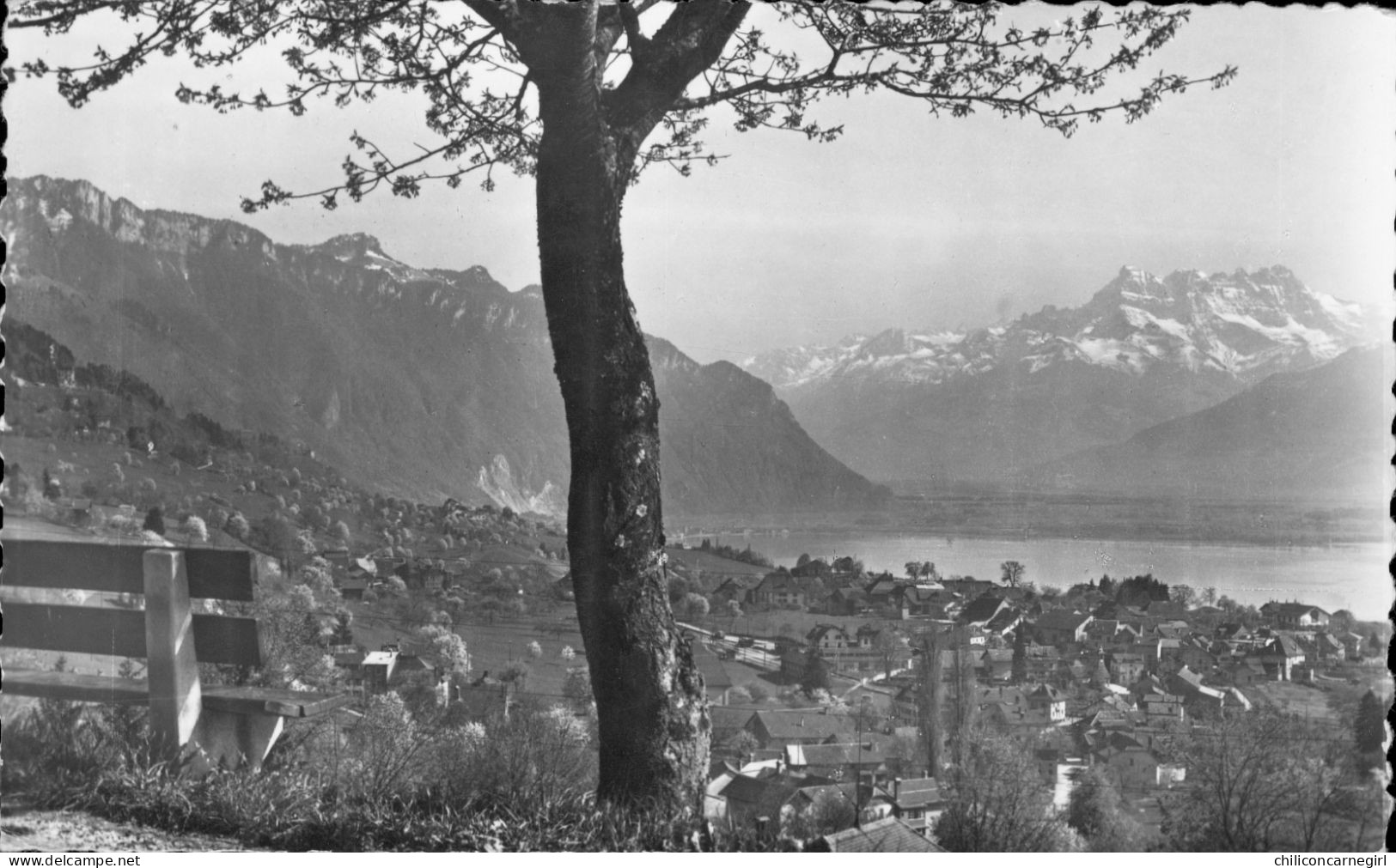 * Cpsm - BLONAY Et Dents Du Midi - Vue Générale - Edit. PERROCHET - 1964 - Blonay - Saint-Légier