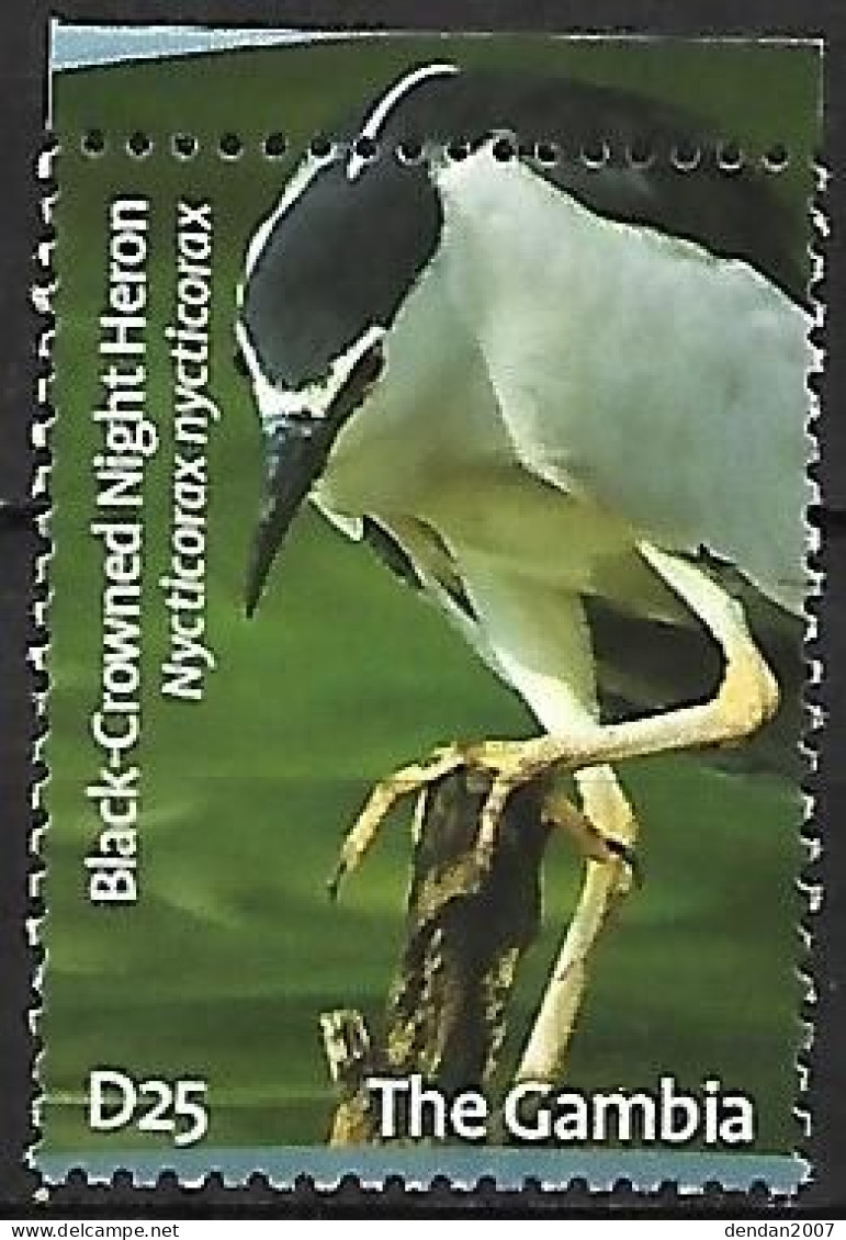 Gambia - MNH **  2009 :  Black-crowned Night Heron -   Nycticorax Nycticorax - Marine Web-footed Birds