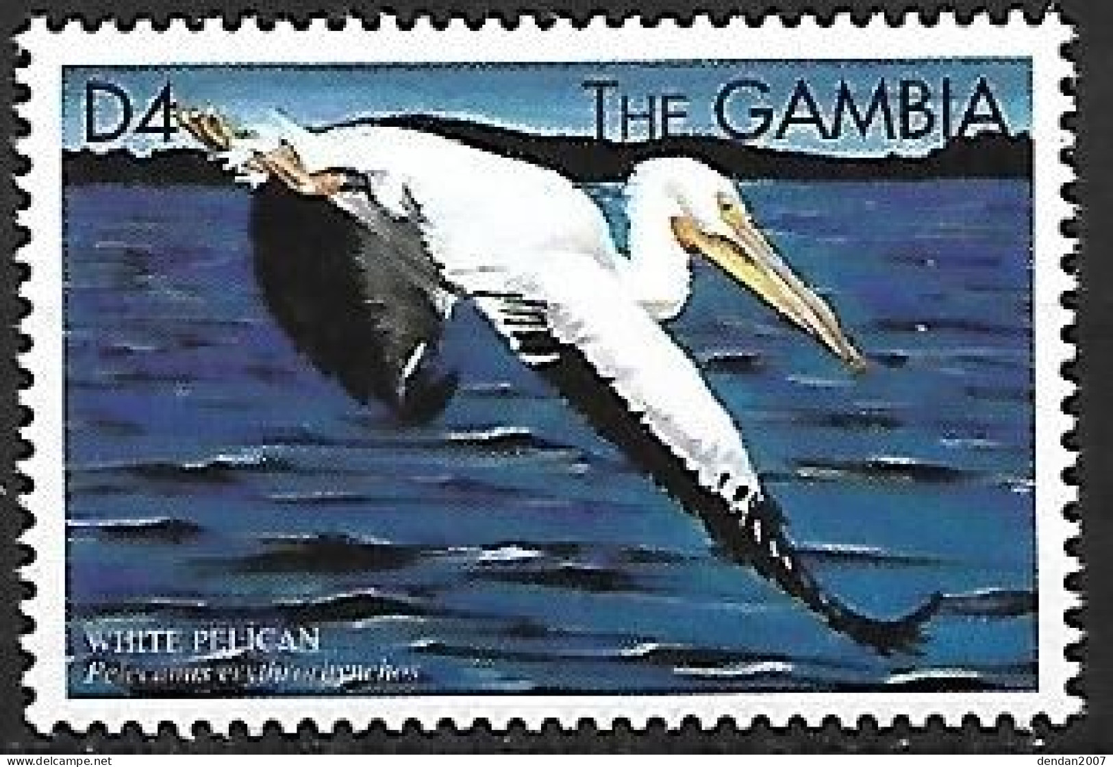 Gambia - MNH ** 1999 : American White Pelican  -  Pelecanus Erythrorhynchos - Pelícanos